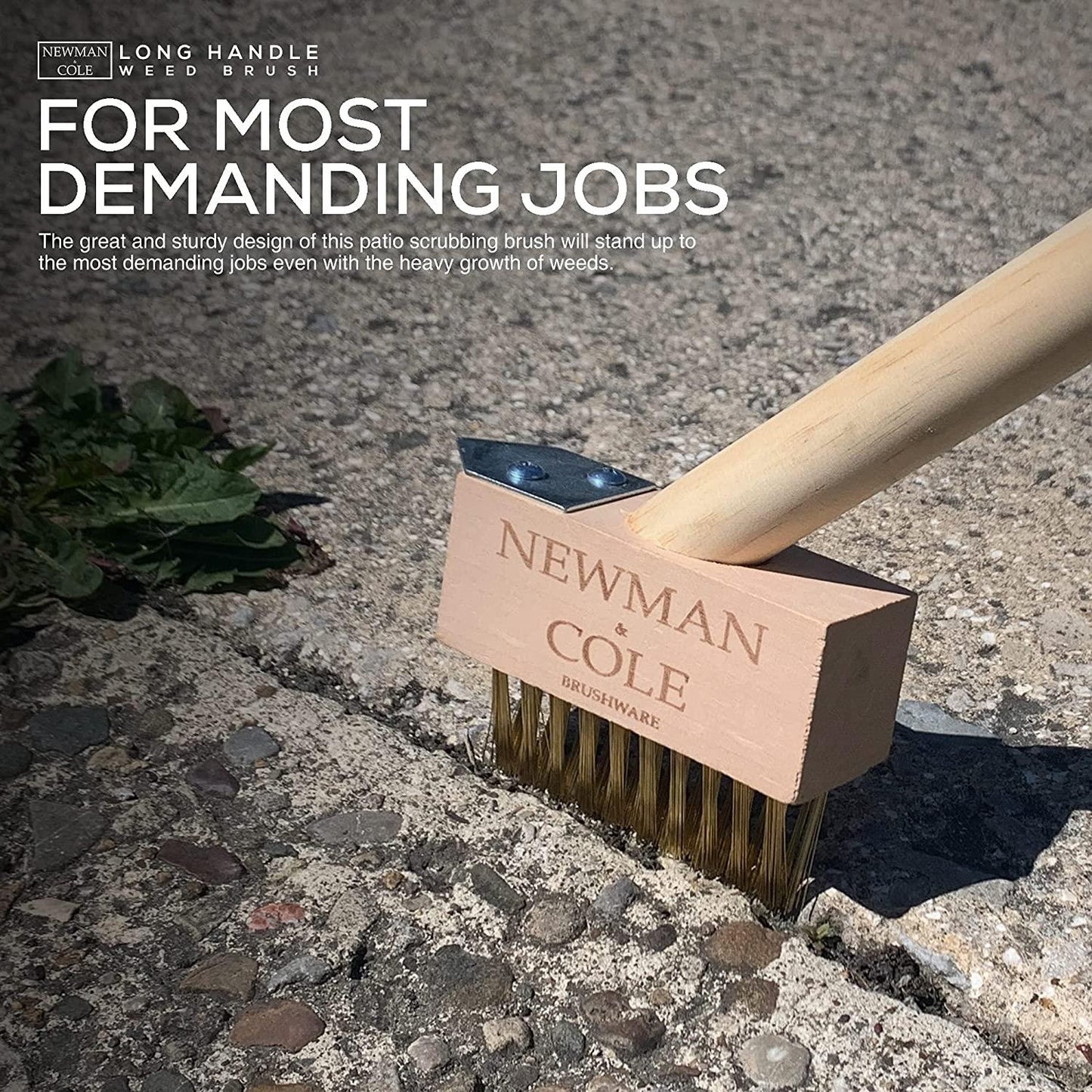 Newman and Cole Weed Brush Head with Scraper and Wooden Handle
